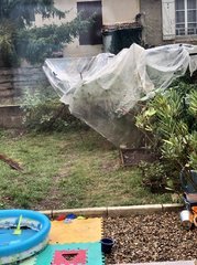 343B0EA1-193B-4016-B298-801B01FD1540.jpeg