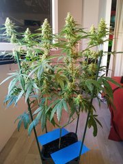 IMG_20220831_095811.jpg