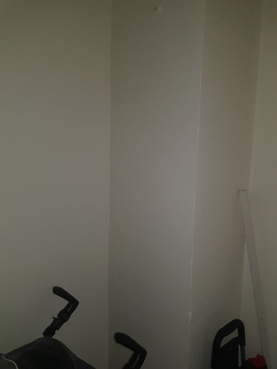 20221007_175629.jpg