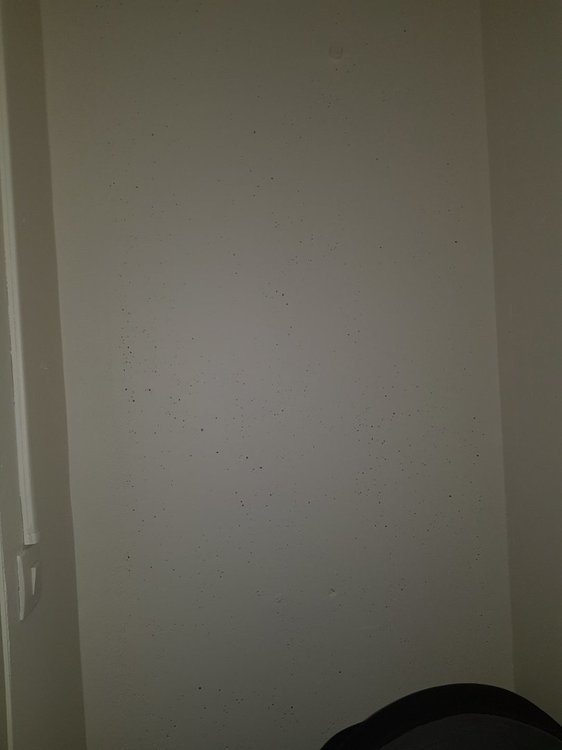 20221007_175651.jpg