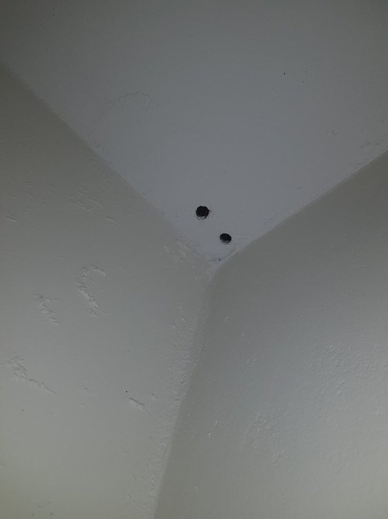 20221007_180542.jpg