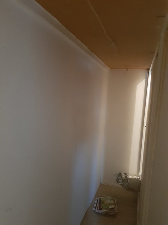 20221011_170945.thumb.jpg.4d54ab46998ed50794c18ea01f500bc1.jpg