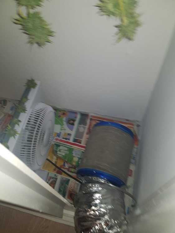 20221015_021623.thumb.jpg.421bcab92bc6056923bd7b93a6a39def.jpg