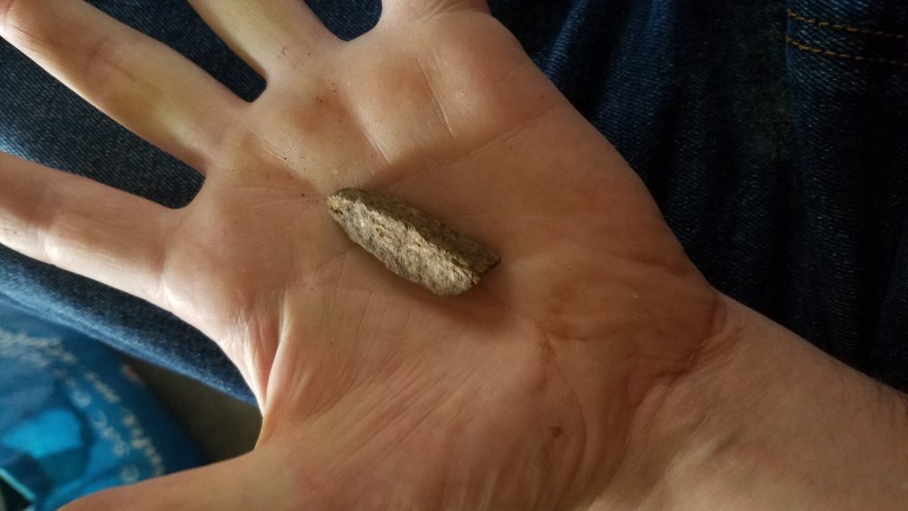 20221021_180710.thumb.jpg.e2ae7af1869f6d93899fabbb2cb2f9f9.jpg