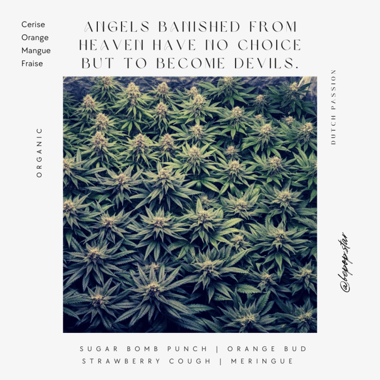 229187562_10.Angelsbanishedfromheavenhavenochoicebuttobecomedevils.(1).thumb.png.7fef074977d7b2d1c34ee92a95e6adc7.png