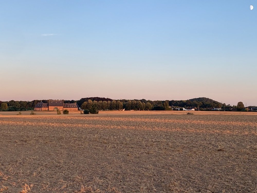 50382217-F938-4120-BFA6-693D4EC25790.jpeg