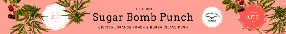 662067551_FCSugarBombPunch.thumb.png.bd89ca41c7313fd6458f29f88c3082f6.png.3e687da7f51f349c48bd6d672348655d.png