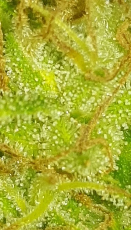 CM221012-205707001.jpg