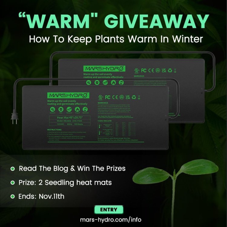 GIVEAWAY.jpg