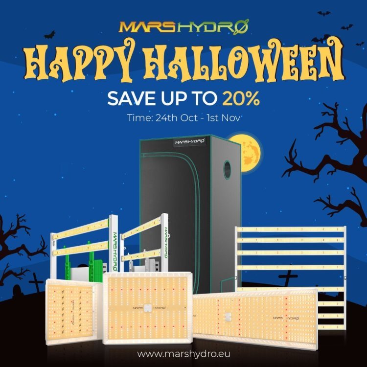Happy-Halloween-3(1).jpg
