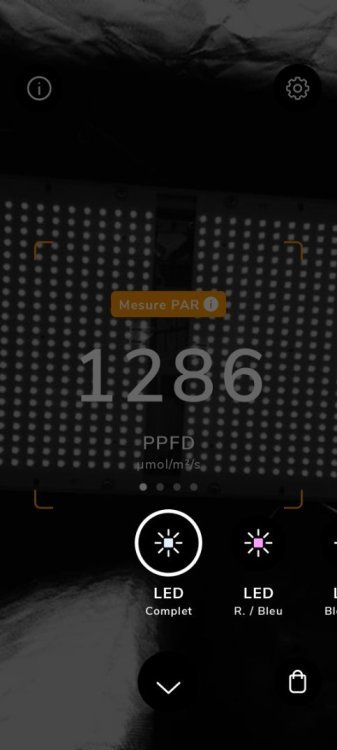 Screenshot_2022-10-24-10-43-47-76_3ccbd9f074b4ae1eeb1af9159766006c.thumb.jpg.94ba82c40da75d3037b42238b9074284.jpg