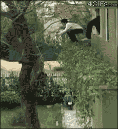 Xy5K.gif.e966e8041f98c58a49f2c1e092512558.gif