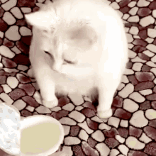 gross-nasty.gif.2dc3614c120c7263aa1d244d6edb0605.gif