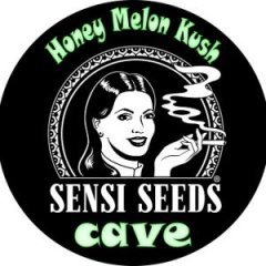 batch_pot honey melon kush cave.jpg