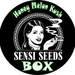batch_pot honey melon kush box.jpg