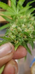 20200908_234931.jpg