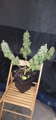 20200909_010335.jpg