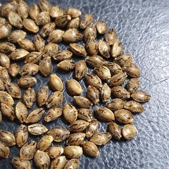 20201125_184704.jpg