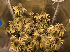 30181366-19F9-431F-855E-A33C39BA1D11.jpeg