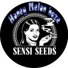 batch_pot honey melon haze box.jpg