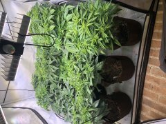 F0B57456-2F3F-475D-A0BE-0D6757C326F5