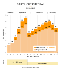 dli-cycle-5.png.3f2aefdd9f8aa21c4c0521eb2b441160.png