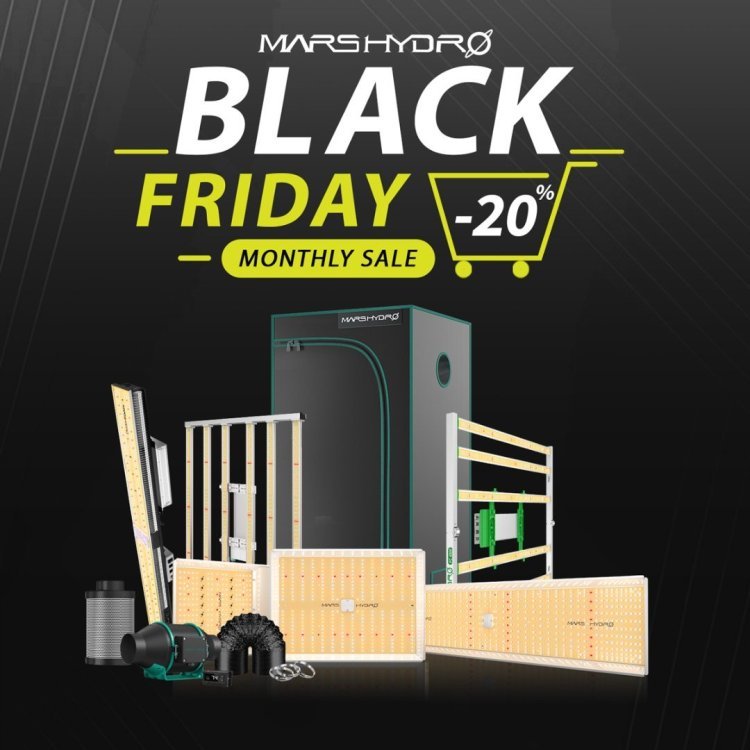 Black-Friday-Sale-1200x1200(1).jpg