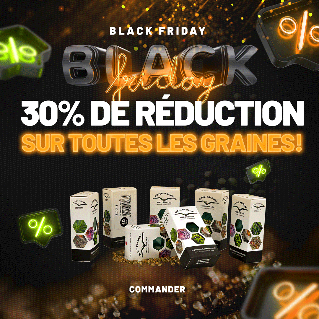 French-Black-Friday.gif