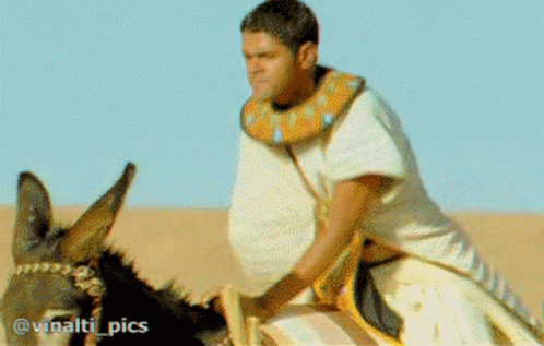 asterix-vinalti.gif.5efcc7e5bc6100fc7beec43a43c3dea7.gif
