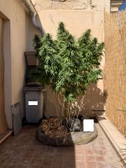 IMG_0450.jpg