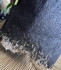 roots.JPG