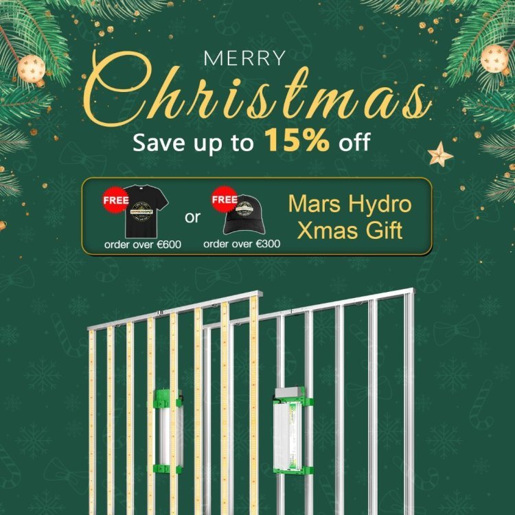 Mars Hydro Christmas Mobile banner(1).jpg