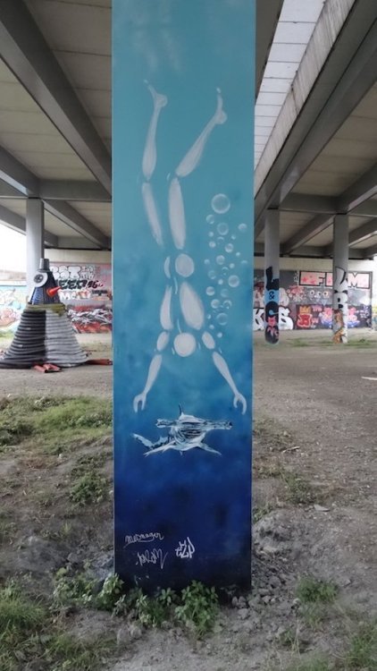 DSC05537.JPG