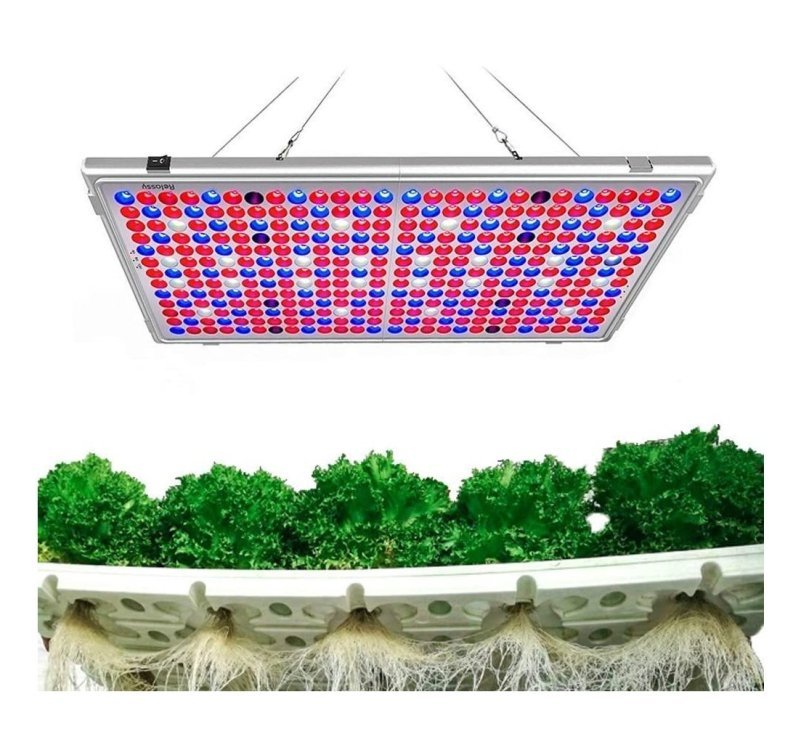 LED.jpg
