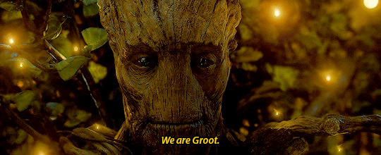 original.gif.0b058fe8972ac9e51c38839f86108bdb.gif