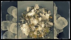 Ice