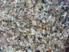 Dry macro 4