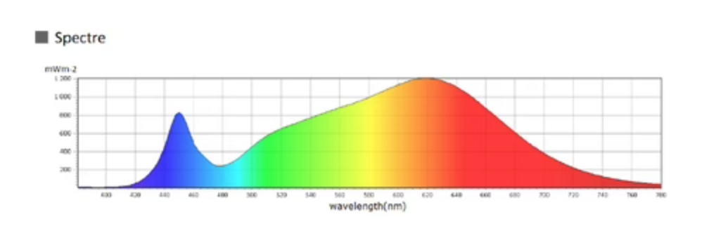 1708740157_Smiled3100K.png.9f4086e6cb93c03bb9c67b44fa492af3.png