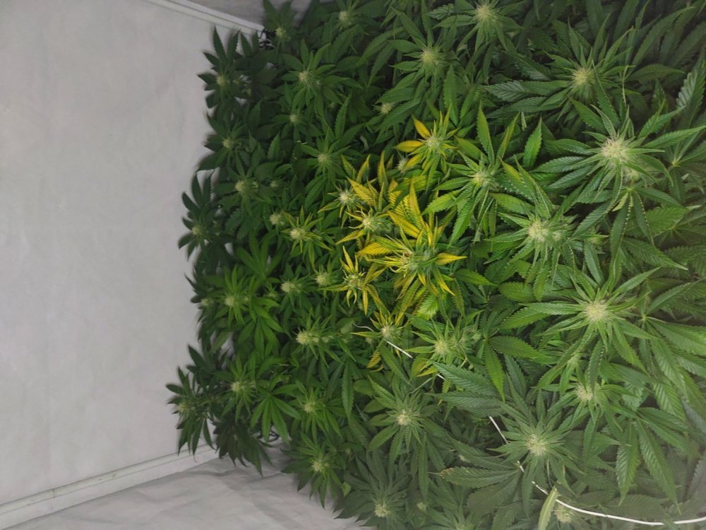 20230103_225419.jpg