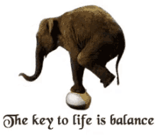 403878317_balance-key-of-life(1).gif.12664334ea75adecee9fb8b6a2aa93cc.gif