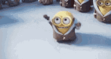 minions-me.gif.87721fc133e4a581257a90aa295b60a0.gif