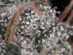 0063969E-C608-44AA-B27F-5ED82BC83C23.jpeg