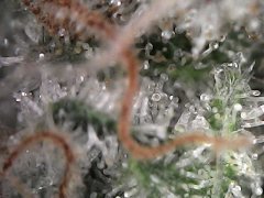 0A670449-EE17-49FA-8D78-E73CB4CA10F0.jpeg