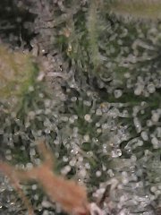 3ABC3610-E5A6-4FD9-AD9B-A5C087865F84.jpeg
