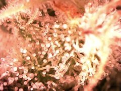6A1D64EC-B82B-46EA-832B-507E1BEE67E0.jpeg