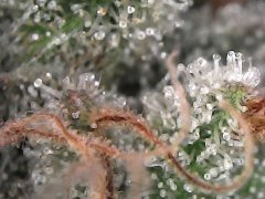 BFA7409E-D951-4F55-B92B-4DF6370431DE.jpeg