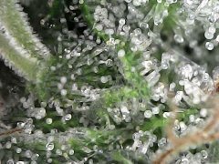 FA9D85C9-7178-4DD7-91EF-7F1DF47C62C8.jpeg