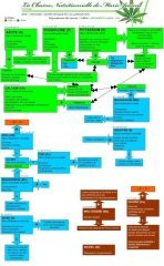 chainenutritionellepz0.thumb.jpg.c596cfb60a129d7ee1fad7ceb2f4ba19.jpg