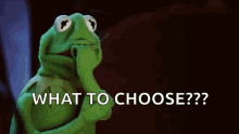 the-muppets-kermit-the-frog.gif.91fbe8dc34e790b1a23581f9f130e31e.gif