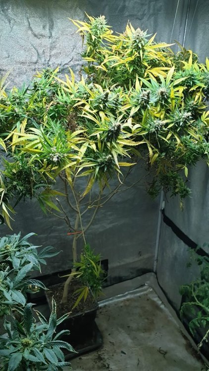 WhatsApp Image 2022-02-24 at 18.39.21.jpeg